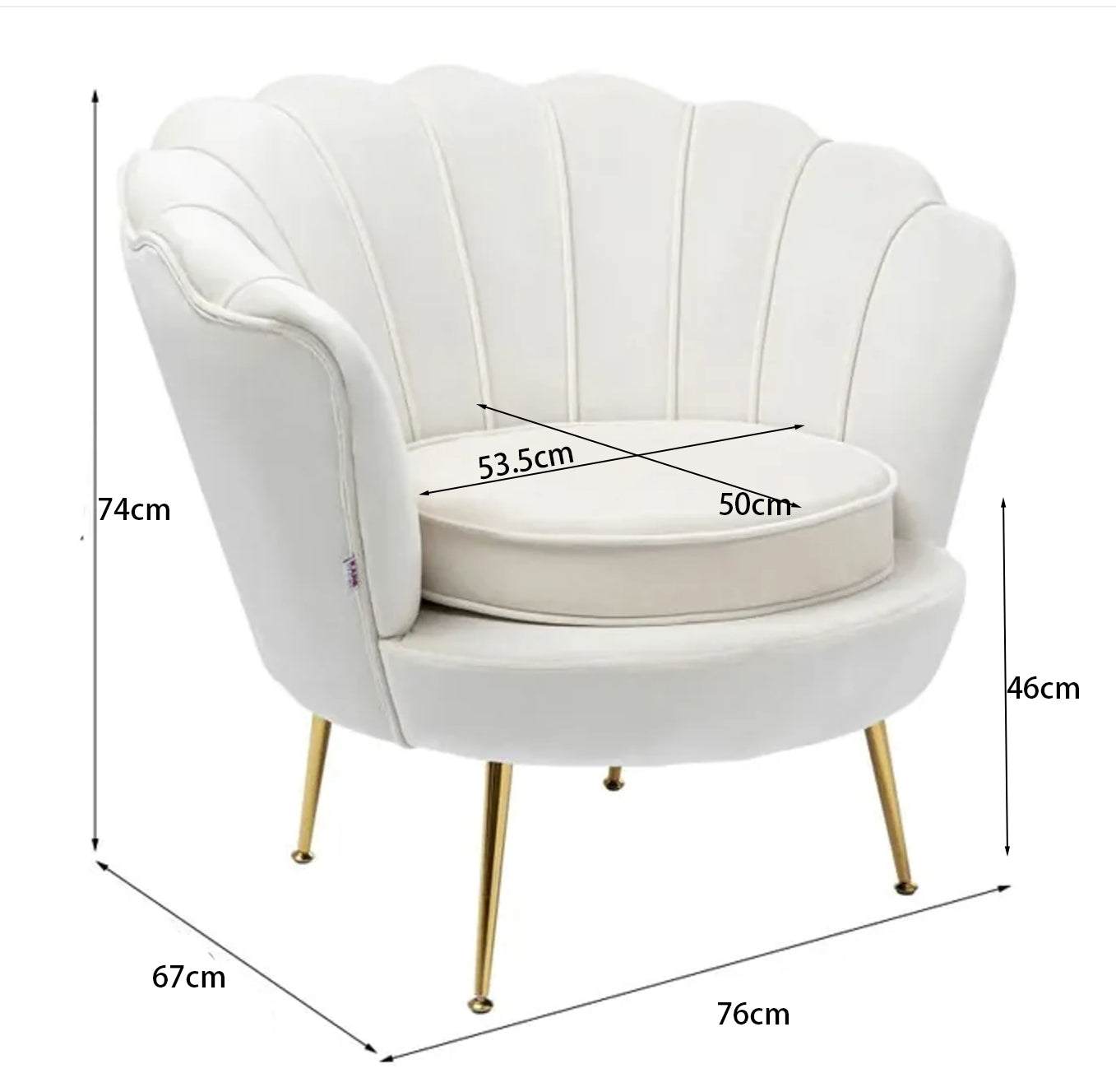 Velvet Schelp Stoel crème met gouden poten en zachte velvet stof, comfortabele en stijlvolle zitschelp stoel voor woonkamer of slaapkamer